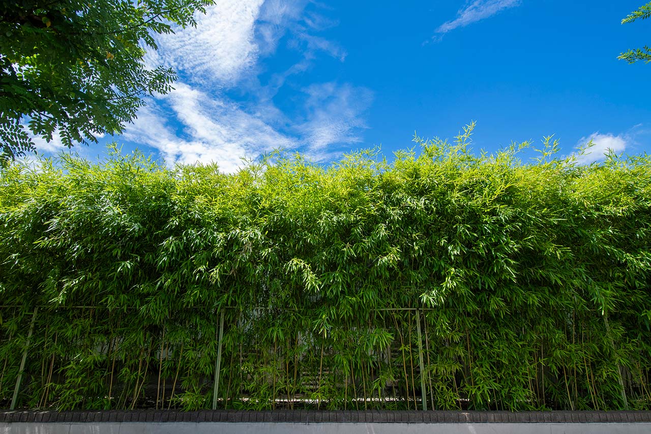 個人情報保護への取り組み